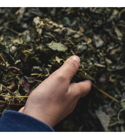 Elkészültek herba-tea keverékeink